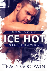 Book Cover: Ice Hot: New York Nighthawks 1